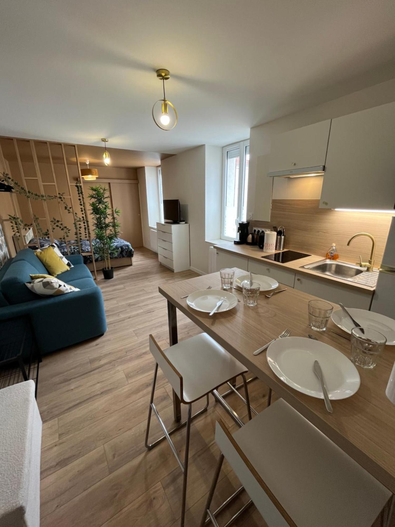 Apartamento L'Ile De Bali, Sejour En Couple Ou Famille Roanne Exterior foto
